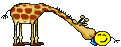 :giraffe